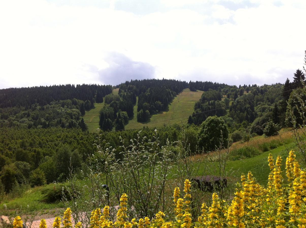 Villa Maximus Jáchymov Kültér fotó